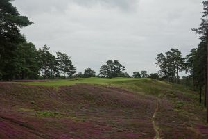 Berkshire (Red) 10th